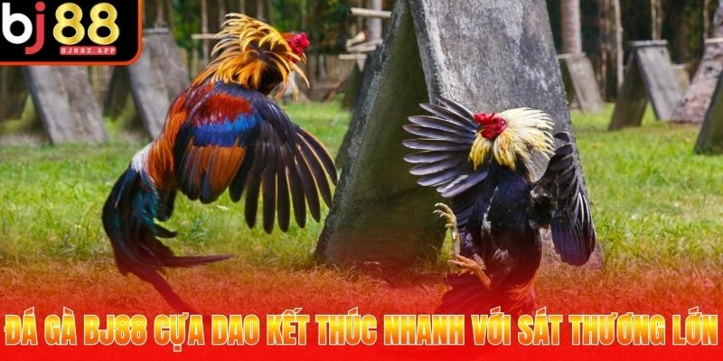 Đá gà BJ88