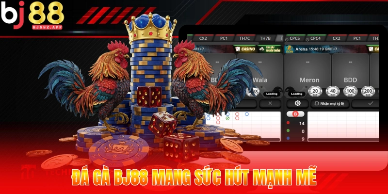 Đá gà BJ88 mang sức hút mạnh mẽ