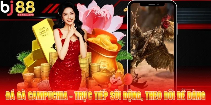 Đá Gà Campuchia - Trực Tiếp Sôi Động, Theo Dõi Dễ Dàng