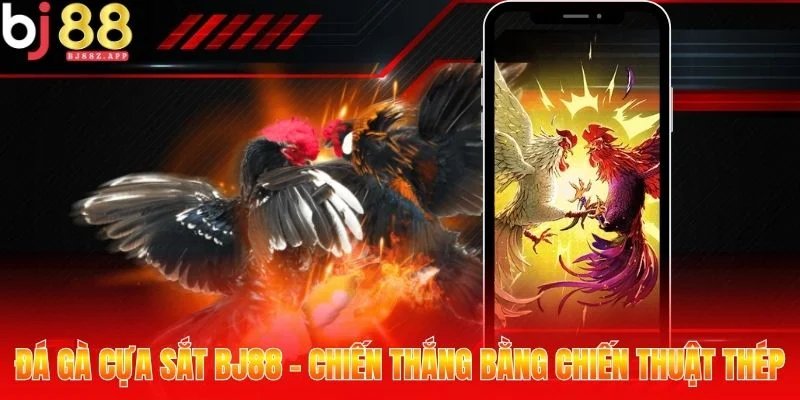 Đá Gà Cựa Sắt BJ88 - Chiến Thắng Bằng Chiến Thuật Thép